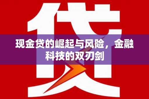 芙蓉现金贷的崛起与风险，金融科技的双刃剑