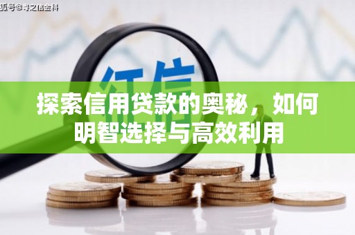 民雄探索信用贷款的奥秘，如何明智选择与高效利用