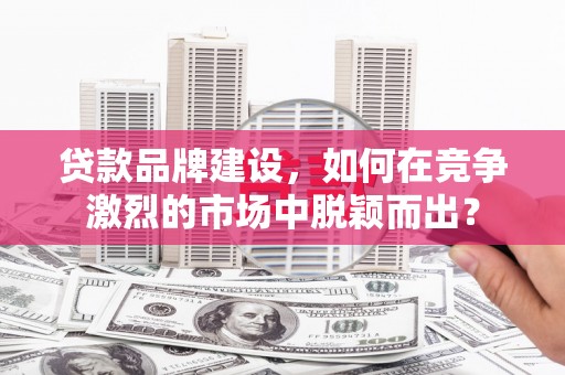 龙子湖贷款品牌建设，如何在竞争激烈的市场中脱颖而出？