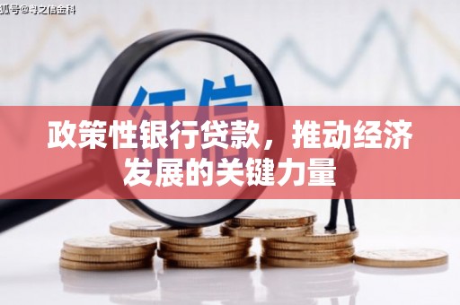 兴隆台政策性银行贷款，推动经济发展的关键力量