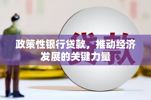 金安政策性银行贷款，推动经济发展的关键力量