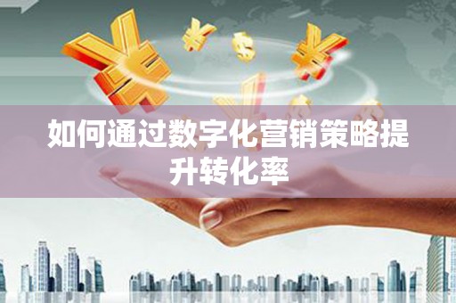 云龙如何通过数字化营销策略提升转化率