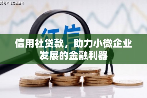 晋州信用社贷款，助力小微企业发展的金融利器