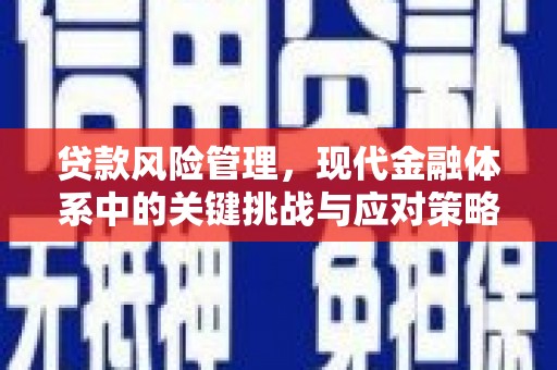 天心贷款风险管理，现代金融体系中的关键挑战与应对策略