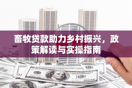 漳州畜牧贷款助力乡村振兴，政策解读与实操指南