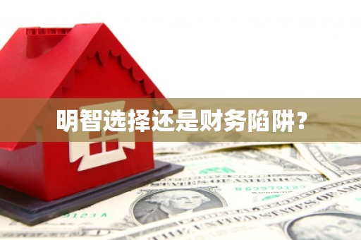 巴楚明智选择还是财务陷阱？