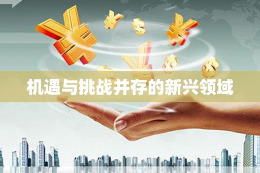 湖西机遇与挑战并存的新兴领域