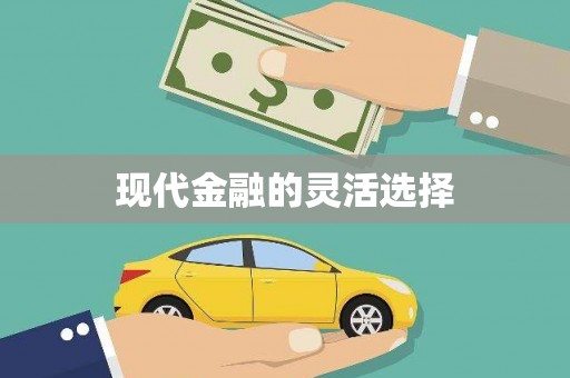 将乐现代金融的灵活选择