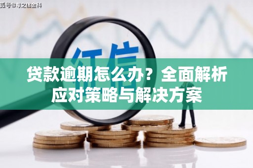 薛城贷款逾期怎么办？全面解析应对策略与解决方案