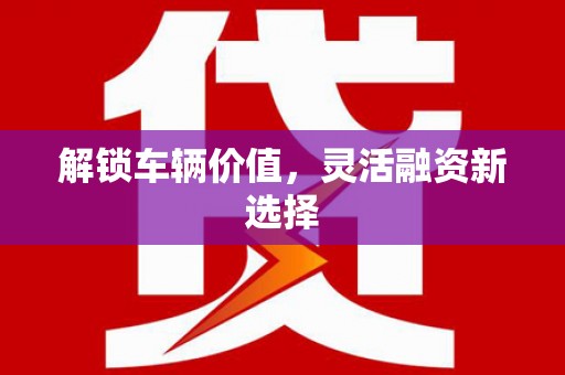 芦山解锁车辆价值，灵活融资新选择