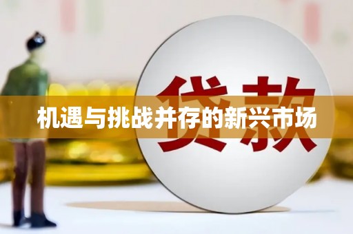 新会机遇与挑战并存的新兴市场